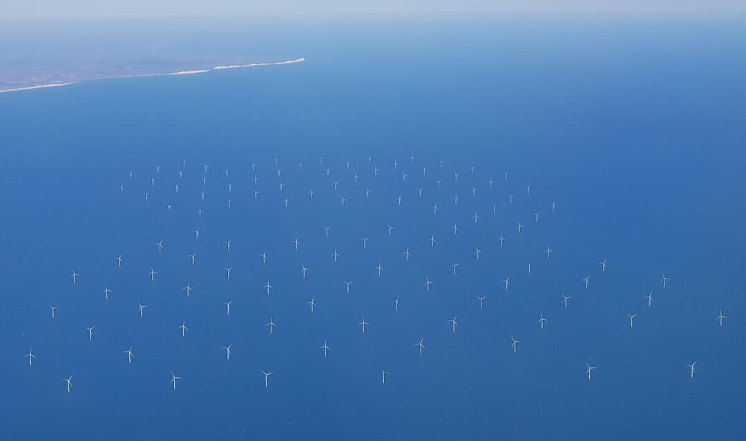 photo from Wikipedia commons narvalo financial modelling